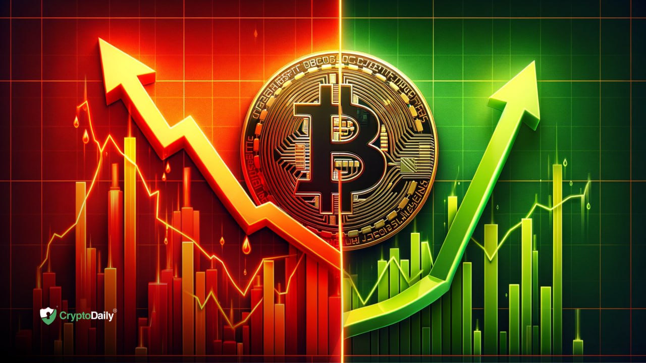 These 3 Cryptos Are Likely to Rise As Bitcoin Goes Down Crypto Daily